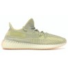 Adidas Yeezy Boost 350 V2 ANTLIA